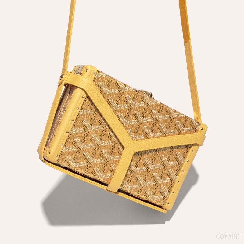 Gold Goyard MINAUDIÈRE TRUNK BAG | HTBR5417