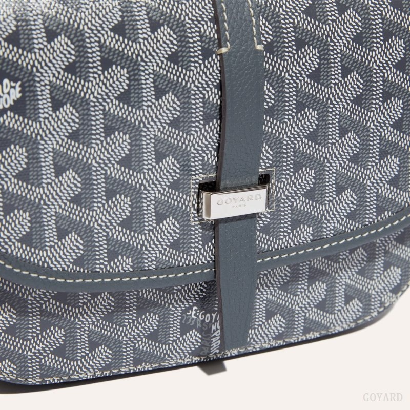 Grey Goyard Belvedere PM Bag | VLNR4753