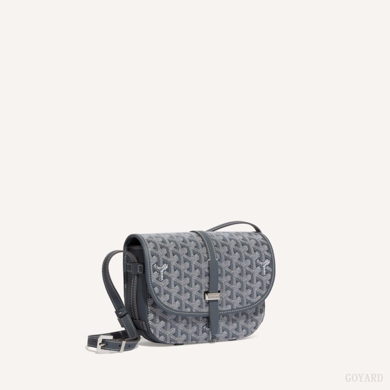 Grey Goyard Belvedere PM Bag | VLNR4753