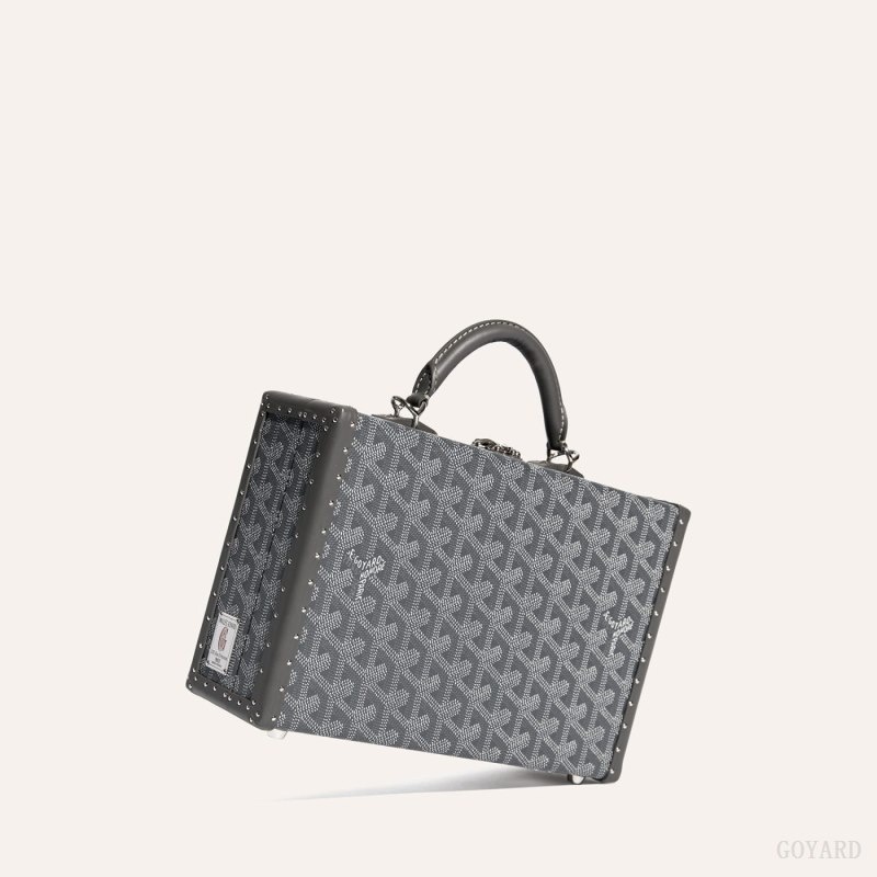 Grey Goyard Grand Hôtel Trunk Bag | RCPA6731